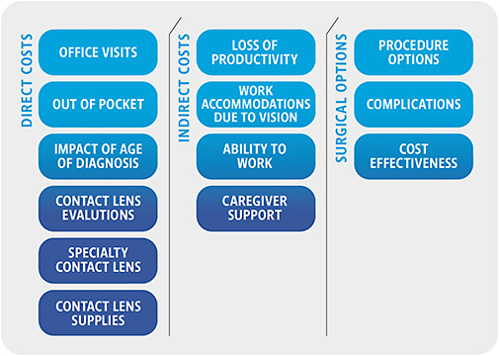 FIGURE 2. Summary of costs associated with keratoconus.