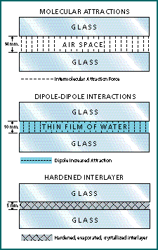 Contact Lens Spectrum | PentaVision